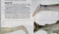 Swimbait Tails by Category: May-June 2012 FLW Bass Magazine Reprint